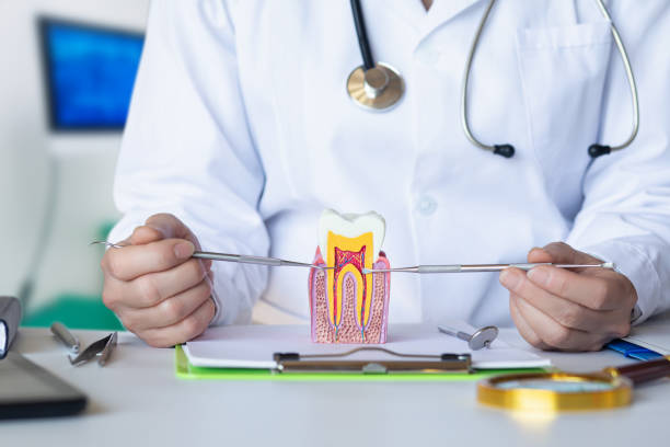 Best Emergency Tooth Extraction in Fort Riley, KS